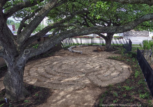 Tree of Life Labyrinth 2.jpg